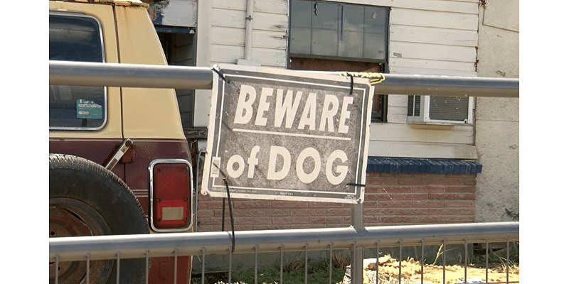 More than 160 dog bites reported per year in Harlingen