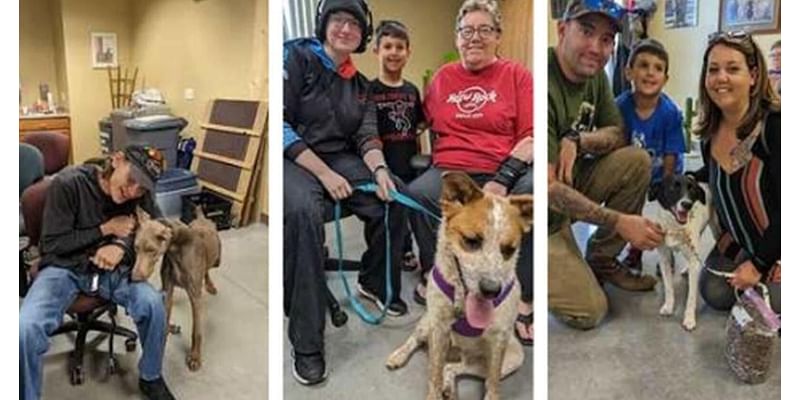 A Paws for Pets: Our mission and our goals