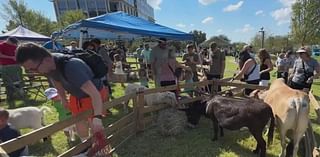 Frisco's Kaleidoscope Park hosts opening weekend with live music, farmers market, petting zoo