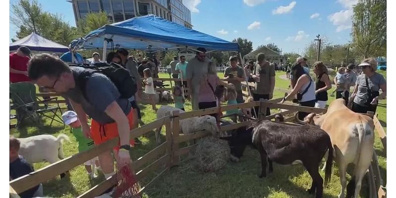 Frisco's Kaleidoscope Park hosts opening weekend with live music, farmers market, petting zoo