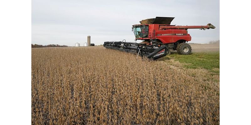 Cash-strapped US farmers switch to generic crop chemicals, in blow to big manufacturers