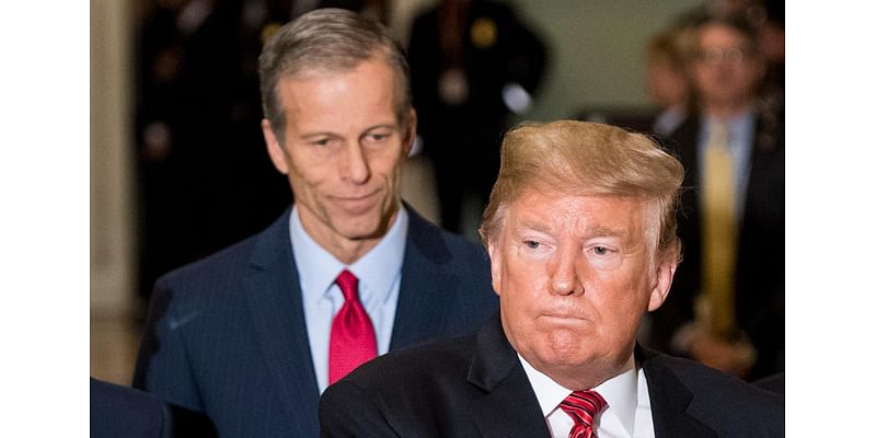 John Thune Was Trump’s Enemy. Will He Now Be His Friend?