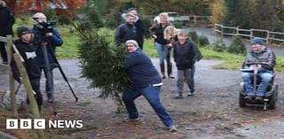 Sussex Christmas tree flingers hope to break record at Catsfield