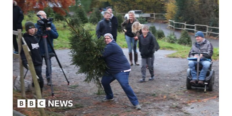 Sussex Christmas tree flingers hope to break record at Catsfield