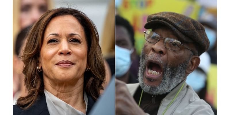 VP Harris' radical mentor could be key player in reparations push if she becomes president