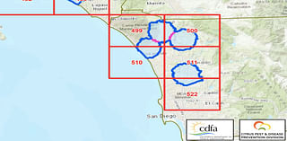 Citrus Disease Detected in Fallbrook; Quarantine to Affect Over 450 Local Businesses