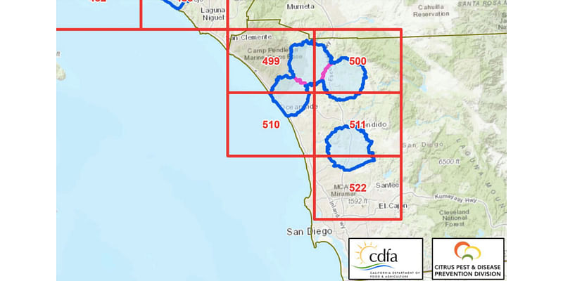 Citrus Disease Detected in Fallbrook; Quarantine to Affect Over 450 Local Businesses