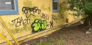 SEE HOW: One local organizations wants to stop vandalism and create vibrant community