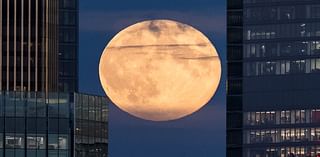 The supermoon has arrived! Stunning photos show the Hunter's Moon in London as rare sight dazzles star gazers across the UK