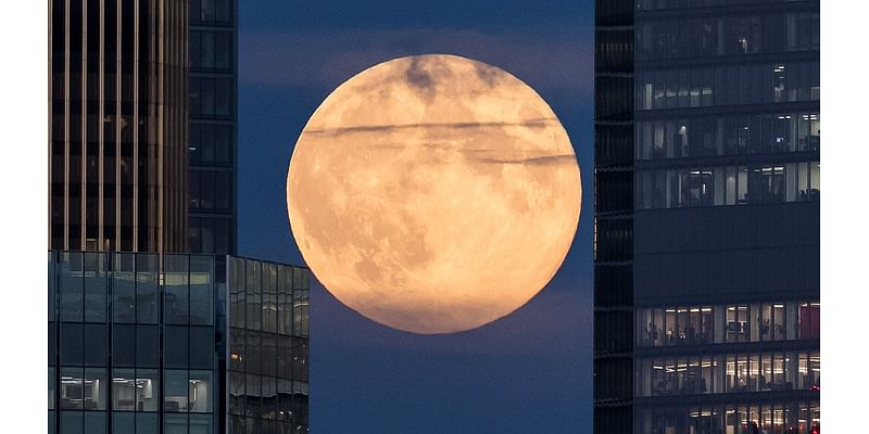 The supermoon has arrived! Stunning photos show the Hunter's Moon in London as rare sight dazzles star gazers across the UK