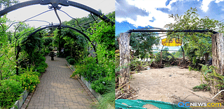 ‘Heaven on earth’: Beloved Lake Lure Flowering Bridge was among the landmarks wiped out by Helene