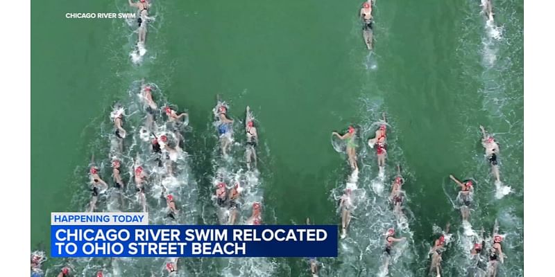 Chicago River Swim: Open water swimmers take on relocated race in Lake Michigan