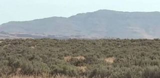 Seeing smoke in the Treasure Valley? BLM conducts prescribed burns across southwest Idaho