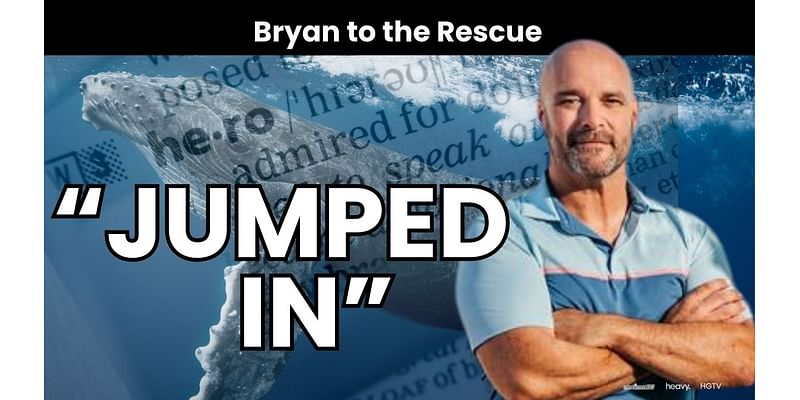 Bryan Baeumler Rescues Beached Whale While in Bahamas