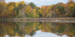 Fall weather pattern continues in Metro Detroit with clouds, rain