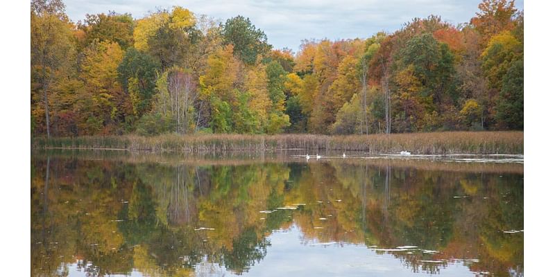 Fall weather pattern continues in Metro Detroit with clouds, rain