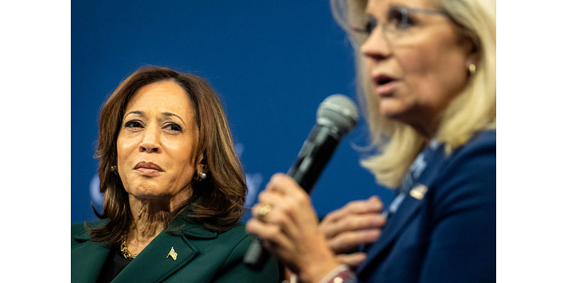 Harris Tried to Win Over Republicans. Democratic Support Collapsed Instead