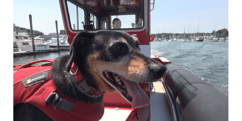 4-legged Skipper comforts Rhode Island boaters who need help