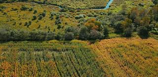 Conservation of land in Cayuga County called a win for Cayuga Lake