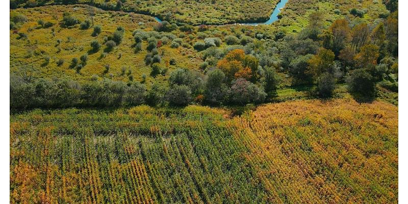 Conservation of land in Cayuga County called a win for Cayuga Lake