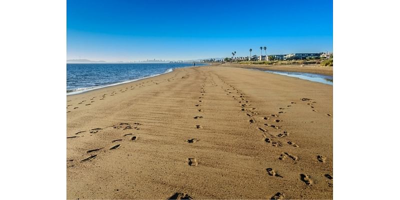 Volunteers Needed For Crown Beach Cleanup