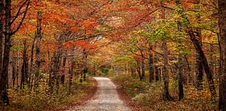 Here’s Where To See Fall Foliage Across The United States