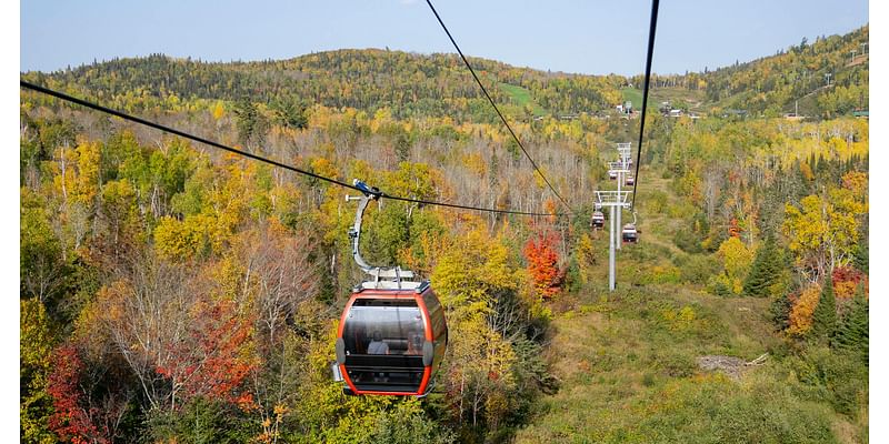 Fall color guide: 8 ways to experience Minnesota’s autumn in action