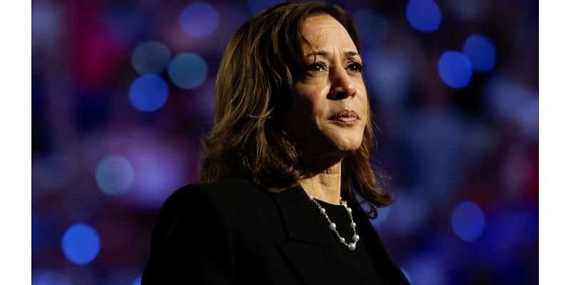 Trump live updates: Harris to concede race, markets rally on decisive win