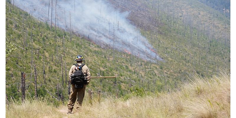 How fire remakes Montana’s landscapes