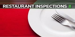 Flying insects in food prep area: Lancaster County restaurant inspections, July 5, 2024