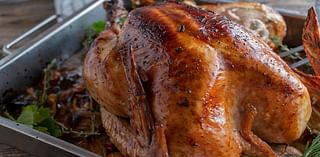 Thanksgiving basics: How to cook a turkey