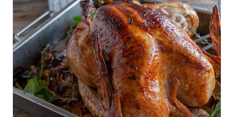 Thanksgiving basics: How to cook a turkey