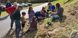 New pollinator garden at Mountain Lake Park