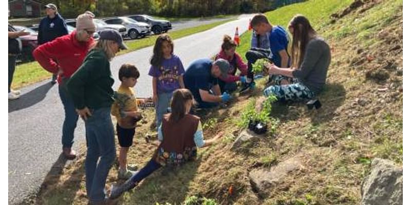 New pollinator garden at Mountain Lake Park