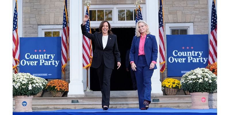 Dem Insiders Begged Team Harris Not to Campaign With Liz Cheney