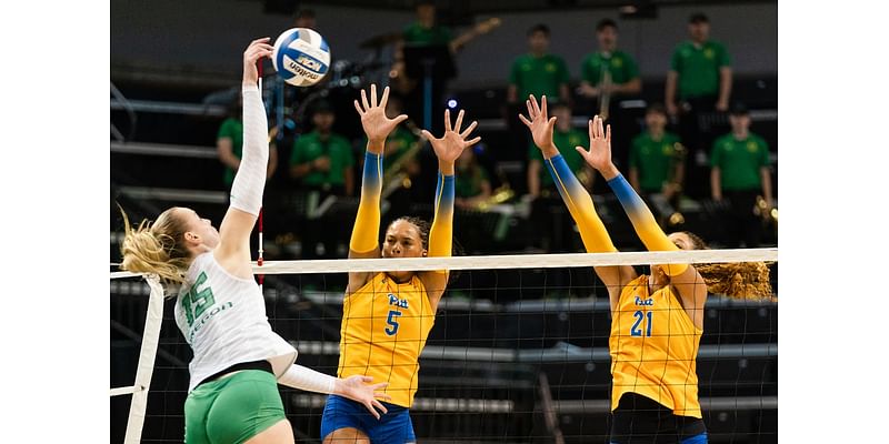 How to watch Pitt volleyball vs. Duke (11/10/24) online without cable | FREE LIVE STREAM for ACC game