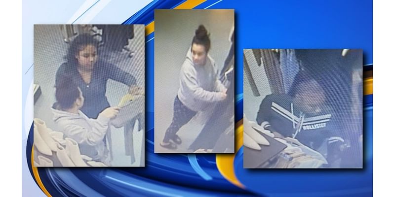 Police need help identifying retail fraud suspects