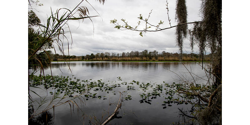 Editorial: Orange, Seminole voters spoke up, loud and clear: Stop the sprawl