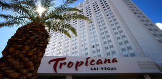 LETTER: An homage to the Tropicana