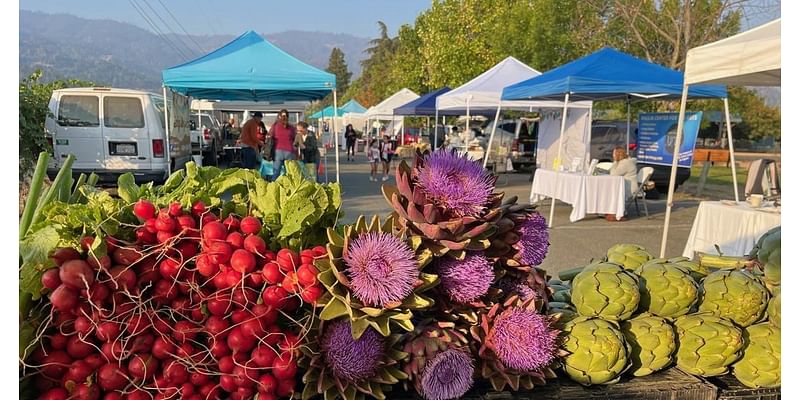 The St. Helena Farmers' Market through a visitor's eyes