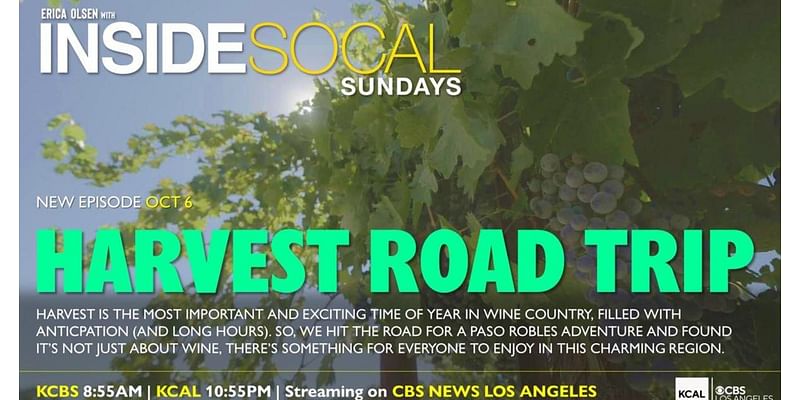 Inside SoCal | Harvest Road Trip (10/6)