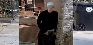 NOPD searches for Maple Street business burglary suspect