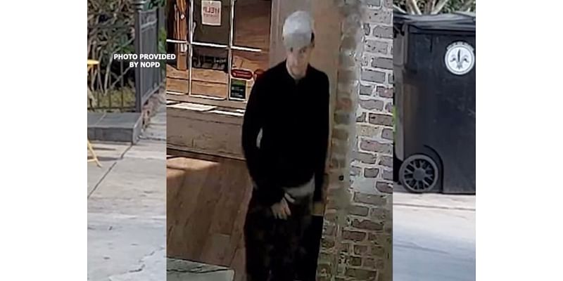 NOPD searches for Maple Street business burglary suspect