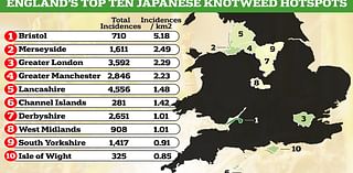 Do YOU live in a Japanese knotweed hotspot? Interactive map reveals locations in England suffering with the worst infestations of invasive plant