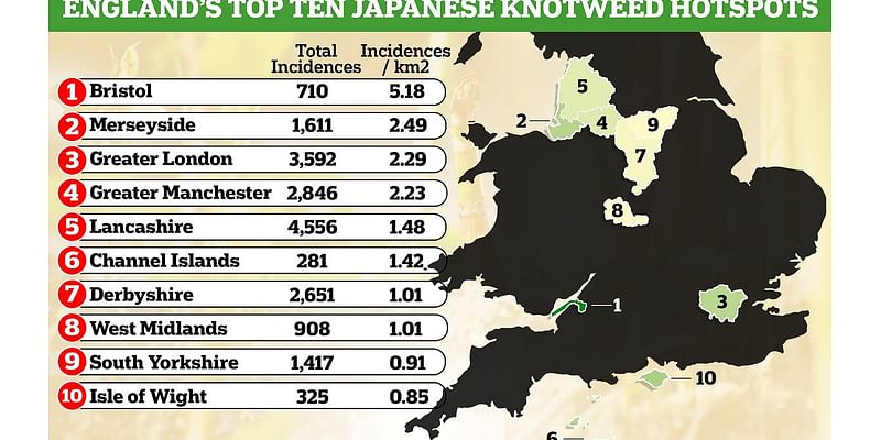 Do YOU live in a Japanese knotweed hotspot? Interactive map reveals locations in England suffering with the worst infestations of invasive plant