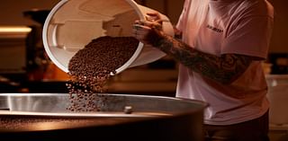 Roasting Sustainably: Dear Green's Vision For A Climate-Resilient Coffee Industry