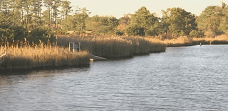 City of Jacksonville gets $16 million grant to restore watersheds