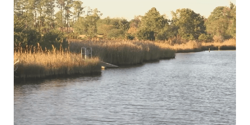 City of Jacksonville gets $16 million grant to restore watersheds