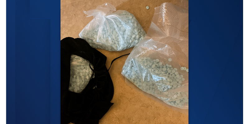 Kalamazoo man found guilty of delivering fentanyl causing fatal overdose