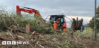 Work begins in Suffolk preparing new Sizewell C roundabout site